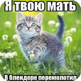 Sticker Ohio sticker pack - 7