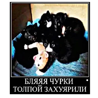 Sticker Ohio sticker pack - 6