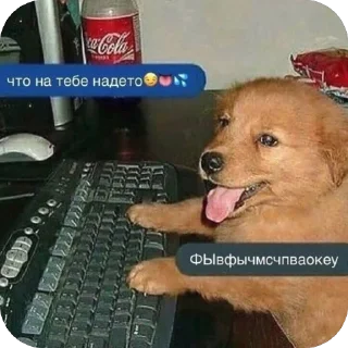 Sticker Ohio sticker pack - 11