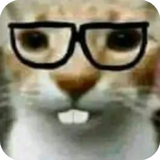 Sticker Ohio sticker pack - 0