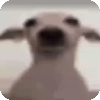 Sticker Окак - 3