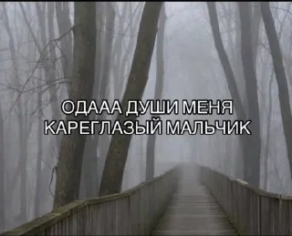 Sticker Okokok @TgEmodziBot - 7