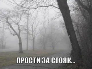 Sticker Okokok @TgEmodziBot - 10