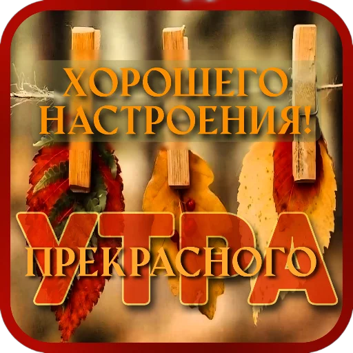 Sticker Otkrytki5OtKanalaKrolichiLapochki - 1