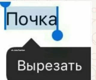 Sticker Panti_BOY @TgEmodziBot - 9