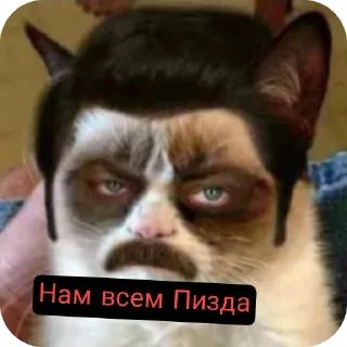 Стикер Павук - 6