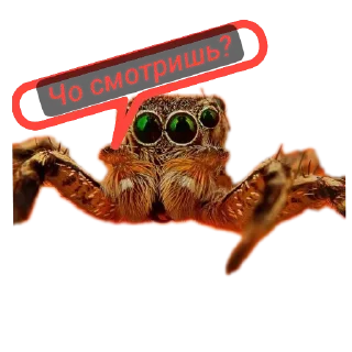 Стикер Павук - 4