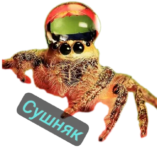 Стикер Павук - 0