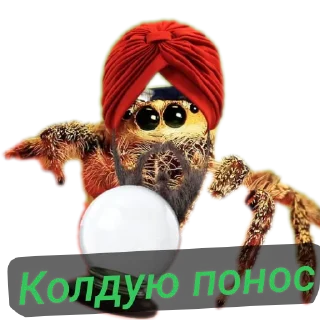 Стикер Павук - 5