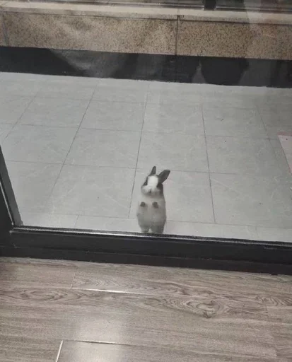 Sticker Payascore2 - 1