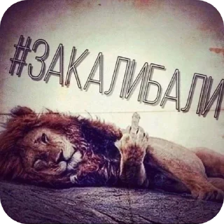 Стикер Андрей сигма - 2