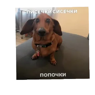 Sticker Пека - 1