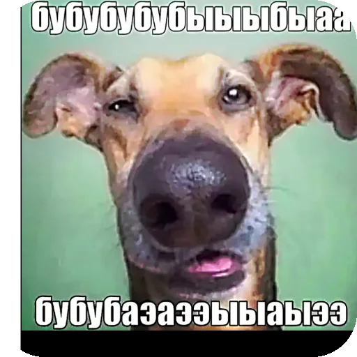 Стикер Penis2939 - 1