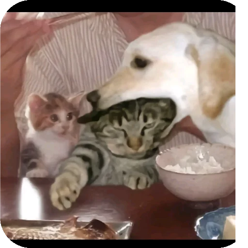 Sticker Penis2939 - 1