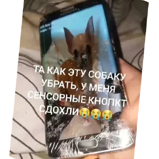 Стикер Пенис - 2