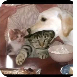 Стикер Пенис - 9