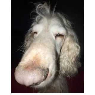 Sticker @pennoebot - стикеры чата пенного! - 11