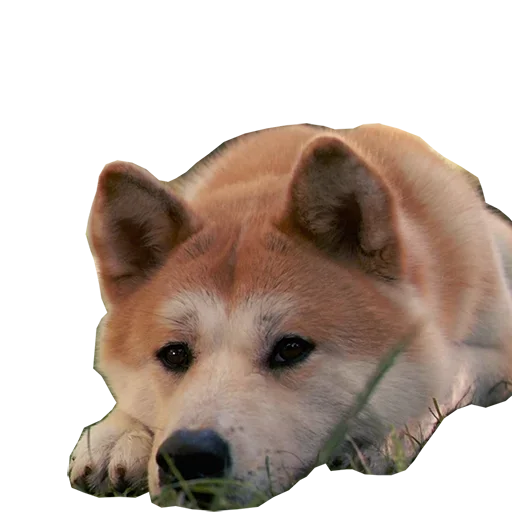 Sticker stickpacPevo - 1