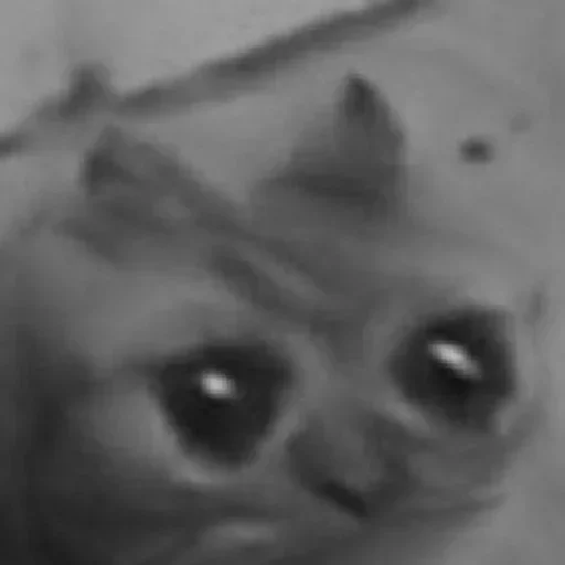 Sticker stickpacPevo - 1