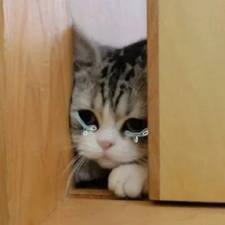 Sticker Pevon2.0 - 11