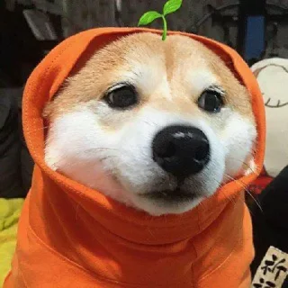 Sticker Pevon2.0 - 5