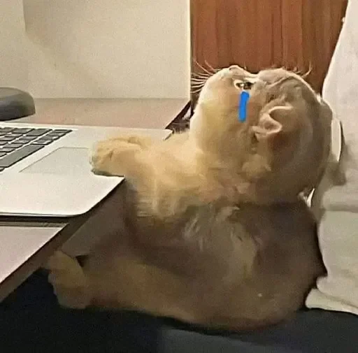 Стикер PicConversation - 1