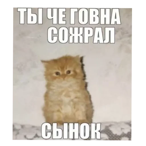 Sticker Picdezz9 - 1