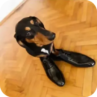 Sticker Picdez😦 - 4