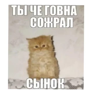 Sticker Picdez😦 - 1