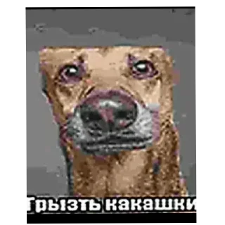 Sticker Picdez😦 - 11