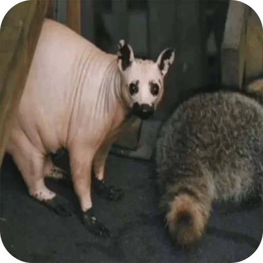 Стикер PizdaNo1 - 1