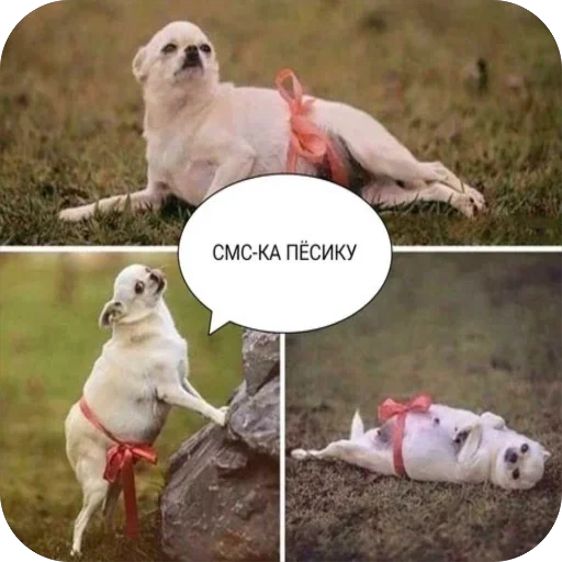 Стикер PizdaNo1 - 1