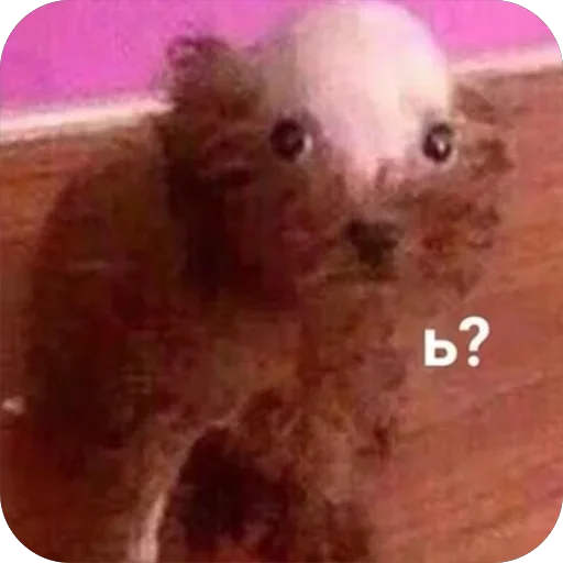 Sticker PizdaNo1 - 1