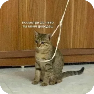 Стикер Пизда - 9