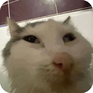 Sticker Доброе утро 🎀 - 3