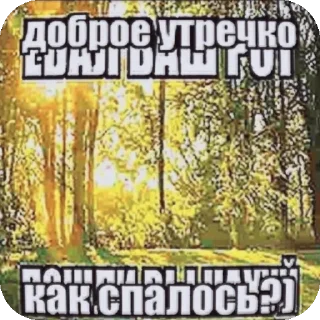 Стикер Пиздец треш @showyxx - 8