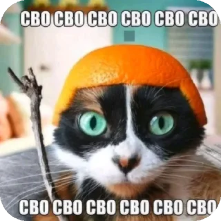 Стикер Пиздец треш @showyxx - 11