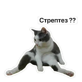 Стикер Плеш платошкин - 3