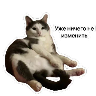 Стикер Плеш платошкин - 10