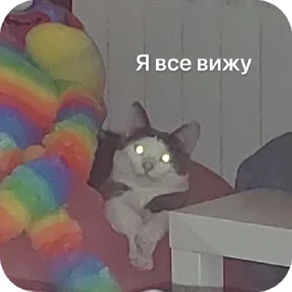 Стикер Плеш платошкин - 8