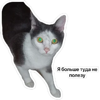 Стикер Плеш платошкин - 5