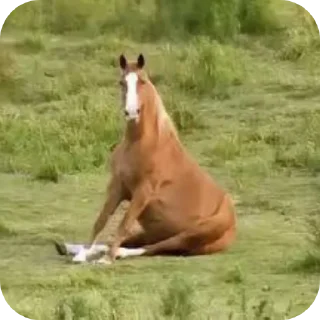 Стикер Витя телега 👻 - 4