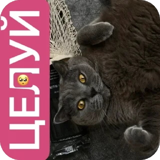 Стикер Подборка VI - 1