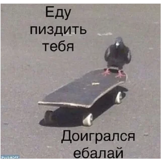 Стикер Похуй - 8