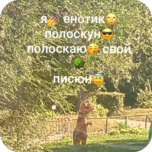 Sticker Popka_molodenca3 - 1