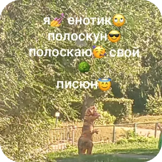 Sticker Попка молоденца🥰🥰🥰 - 7