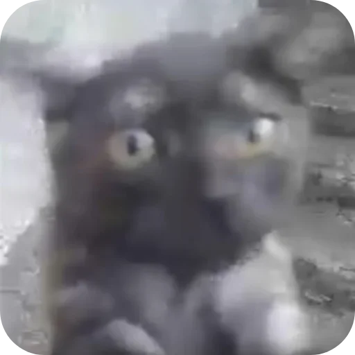 Приколдэс @TgEmodziBot - 