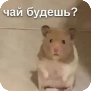 Sticker Приколдэс @TgEmodziBot - 7