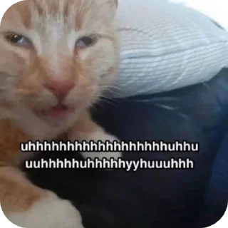 Sticker Приколдэс @TgEmodziBot - 8