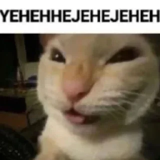 Sticker Приколы и антиквд - 3